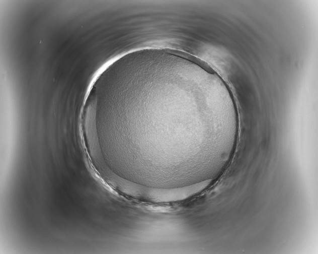 X0000084520960200703161545