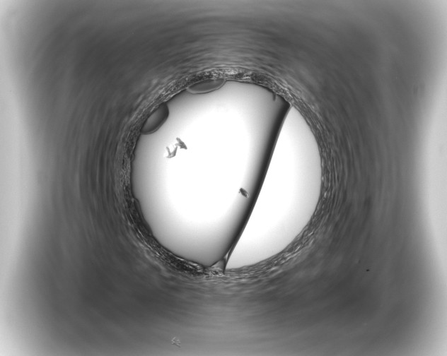 X0000084520961200703161544