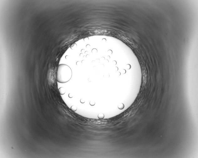 X0000084520962200703161544