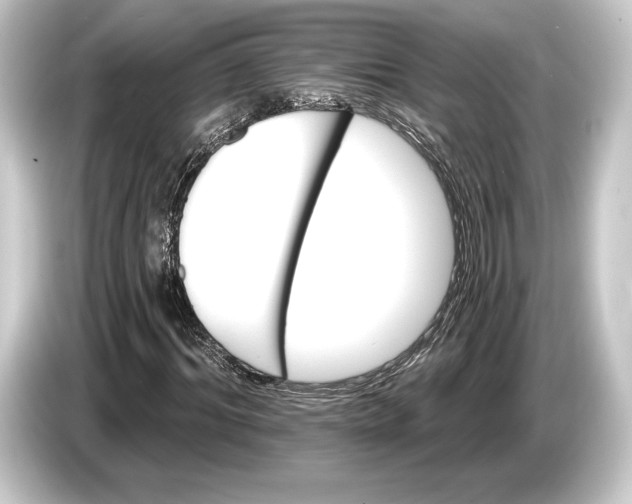 X0000084520964200703161544