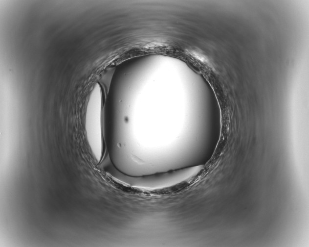 X0000084520965200703161544