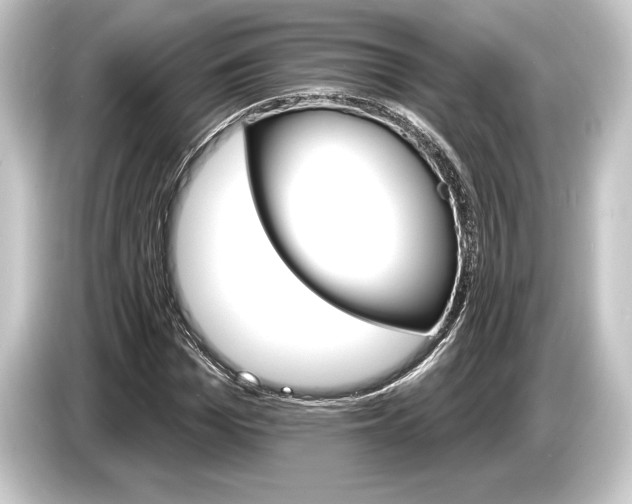 X0000084520969200703161544