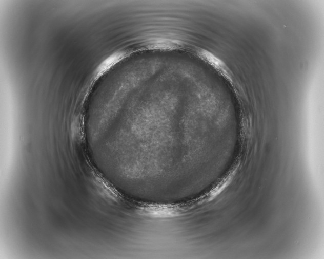 X0000084520970200703161544