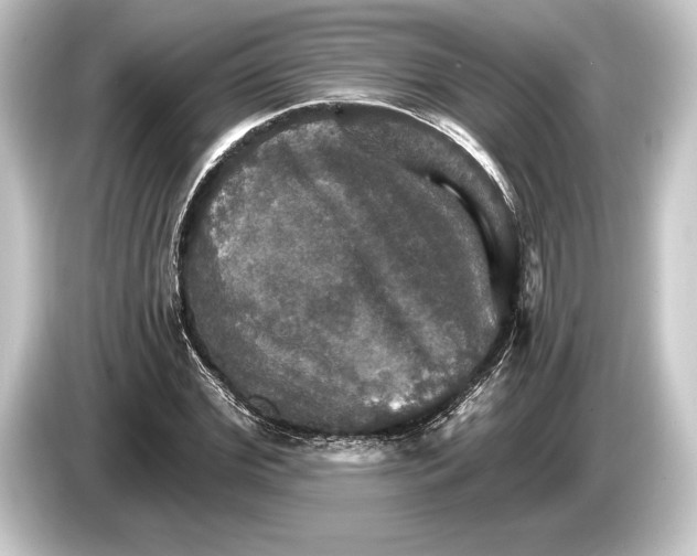 X0000084520972200703161544