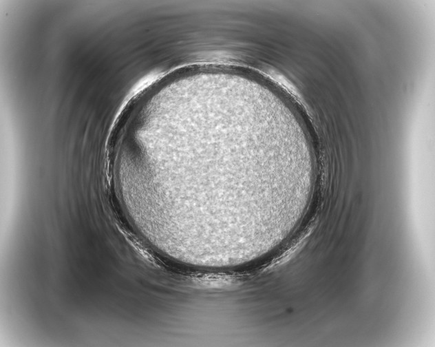 X0000084520974200703161544