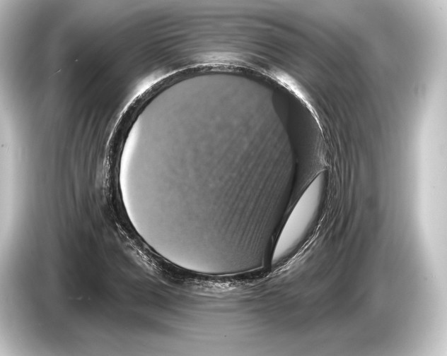 X0000084520975200703161544