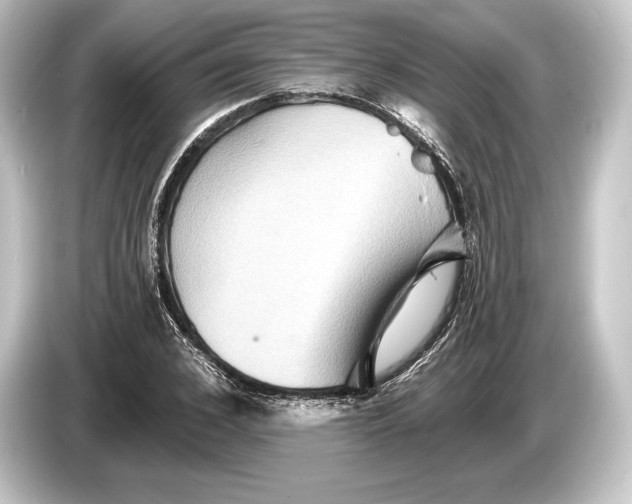 X0000084520976200703161544