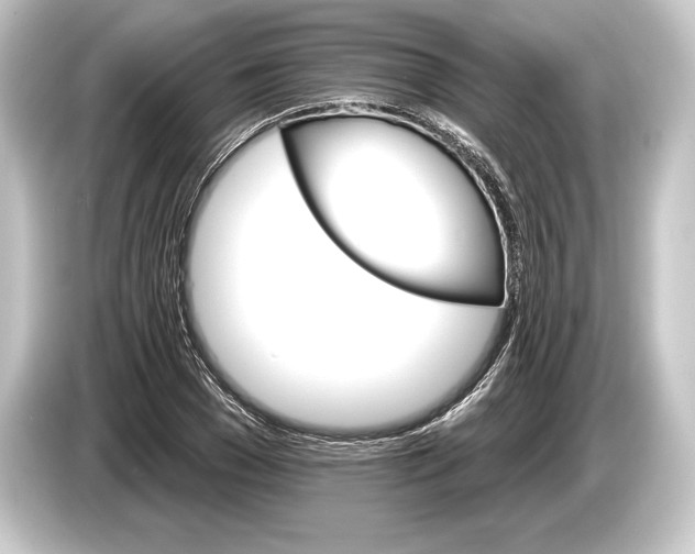 X0000084520977200703161544