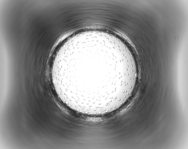 X0000084520978200703161544