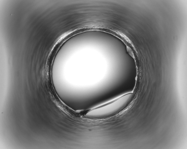 X0000084520981200703161544