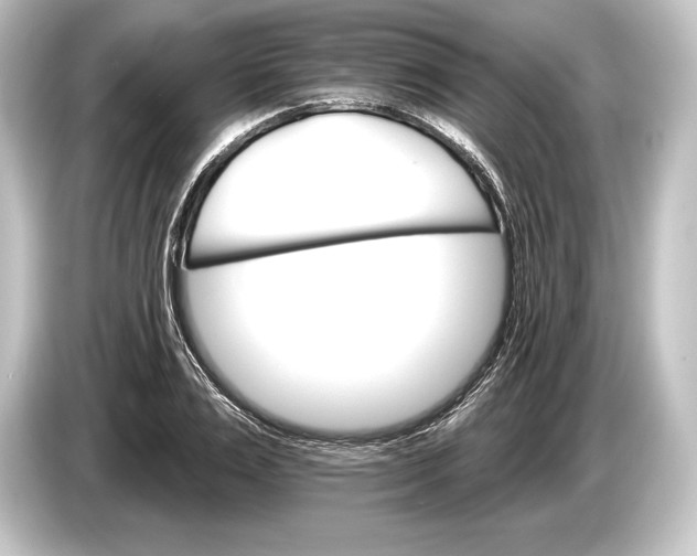 X0000084520983200703161544