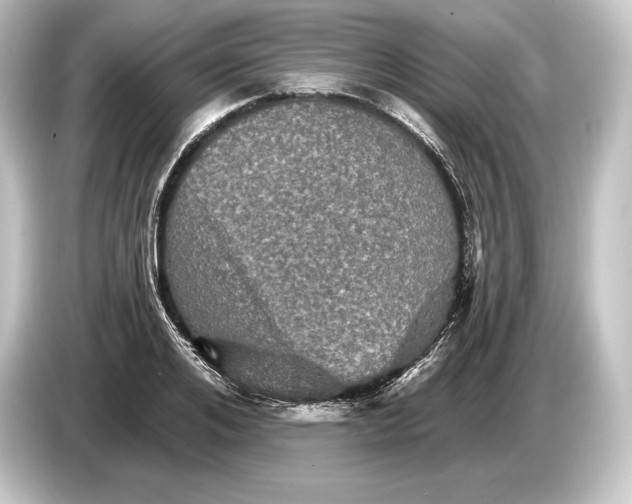 X0000084520984200703161544