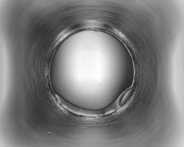 X0000084520985200703161544