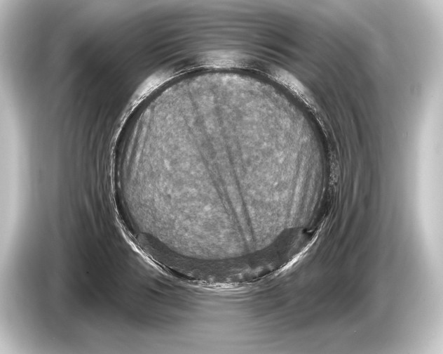 X0000084520986200703161544