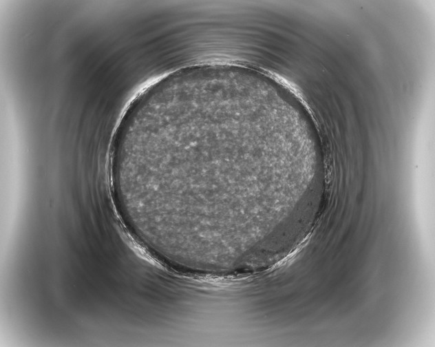 X0000084520987200703161544