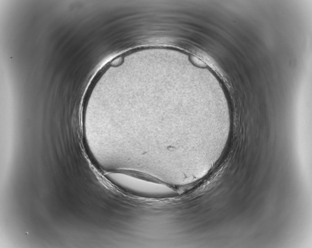 X0000084520988200703161544