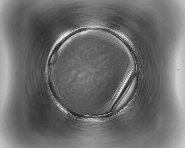 X0000084520990200703161544