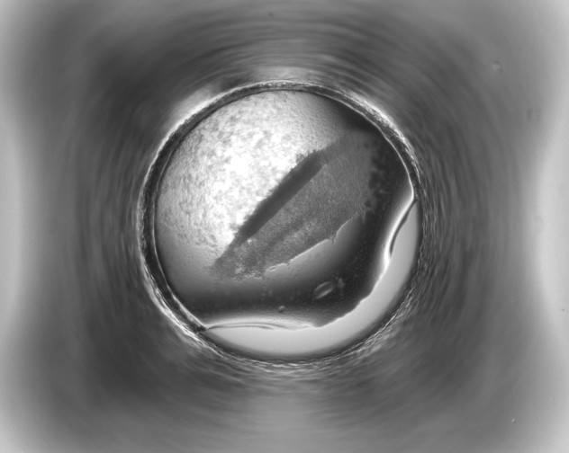 X0000084520991200703161544