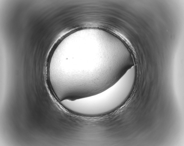 X0000084520992200703161544