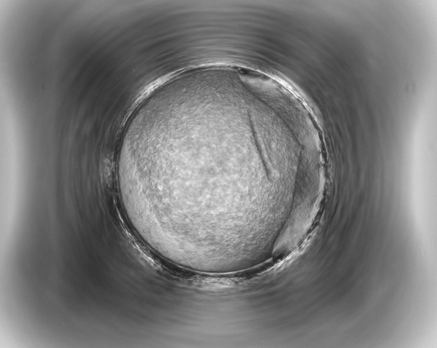 X0000084520993200703161544