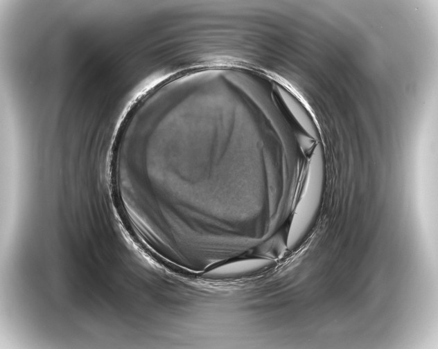 X0000084520995200703161544