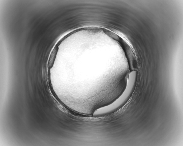 X0000084520996200703161544