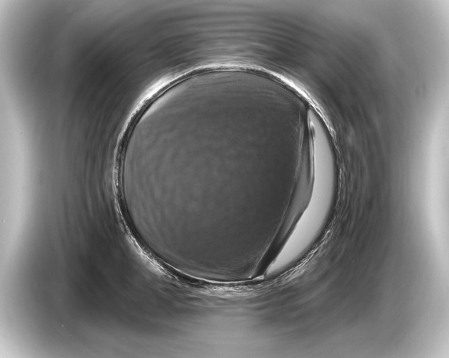 X0000084520998200703161544