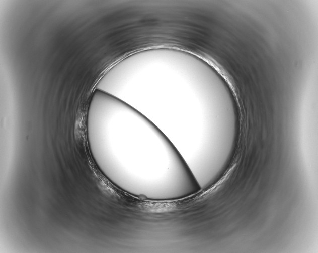 X0000084521001200703161544