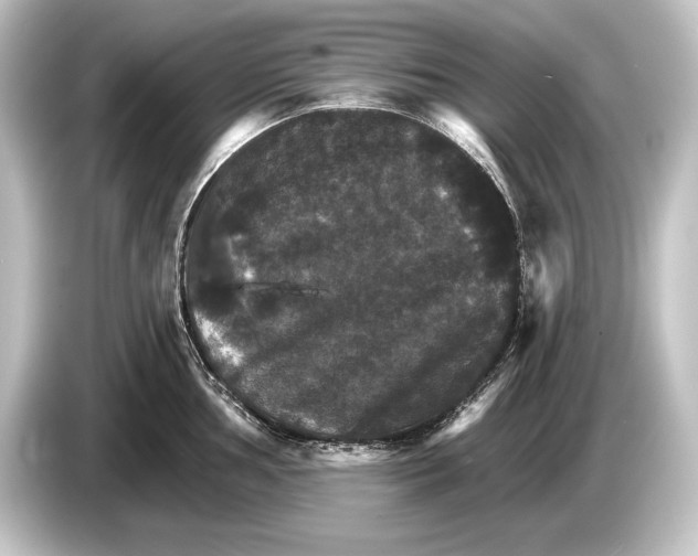 X0000084521002200703161544