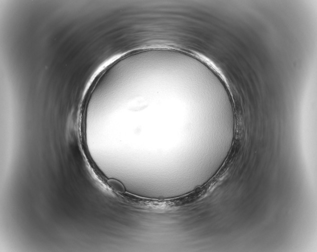 X0000084521003200703161544