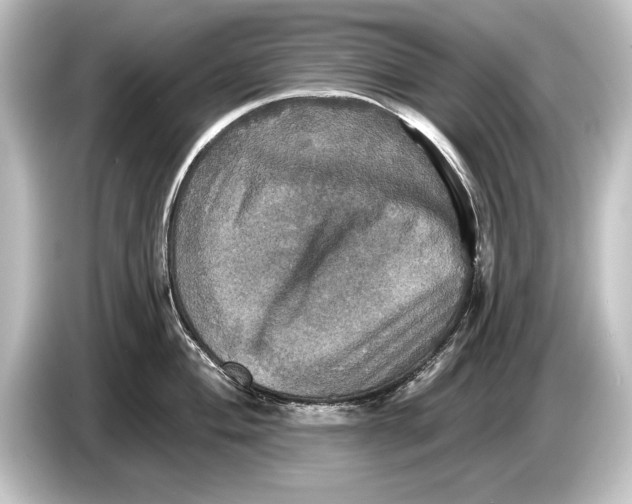 X0000084521004200703161544