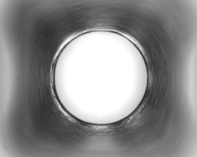 X0000084521006200703161544