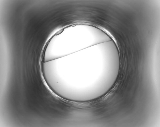 X0000084521007200703161544