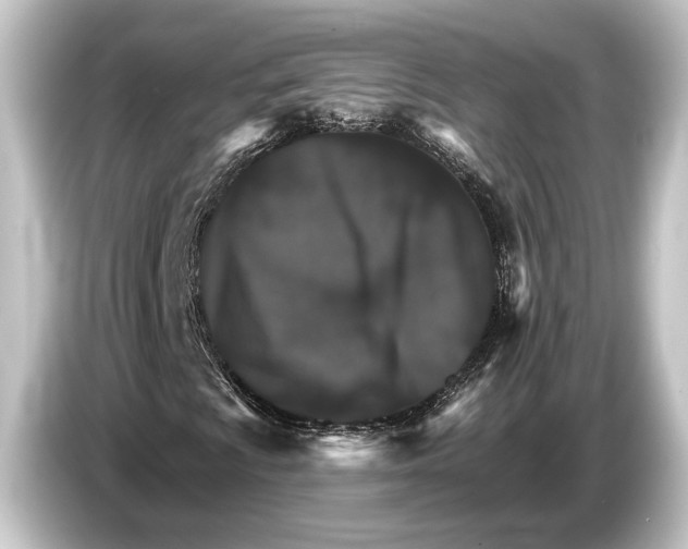 X0000084521009200703161543