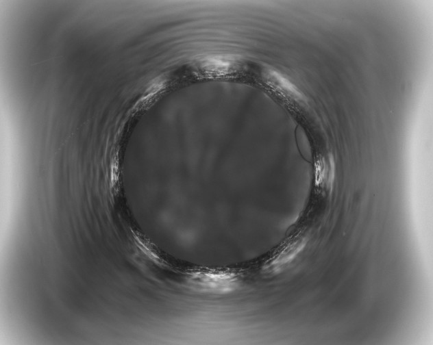 X0000084521011200703161543