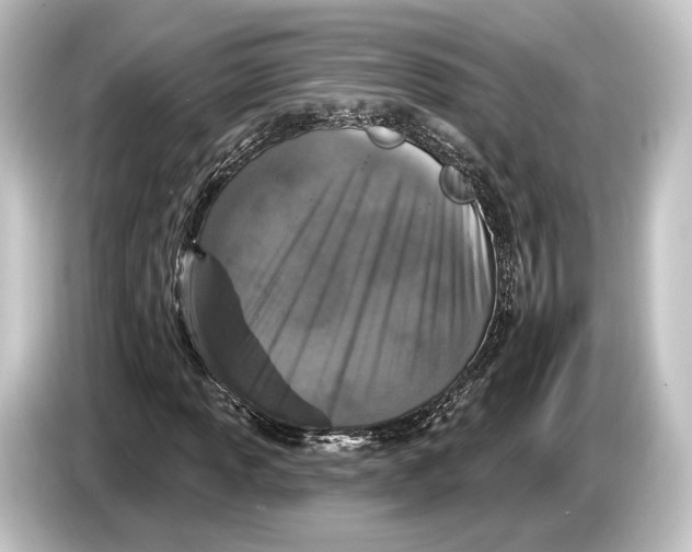 X0000084521013200703161543