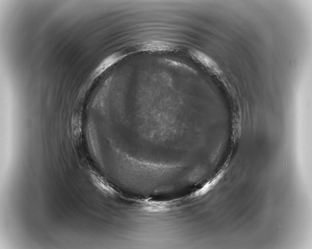 X0000084521017200703161543