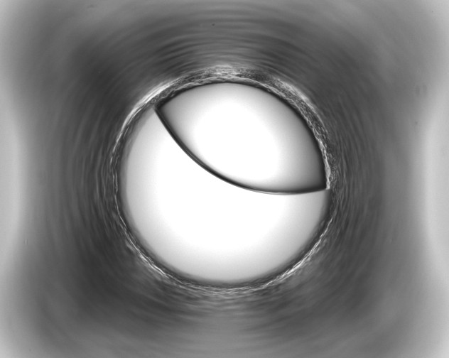 X0000084521018200703161543