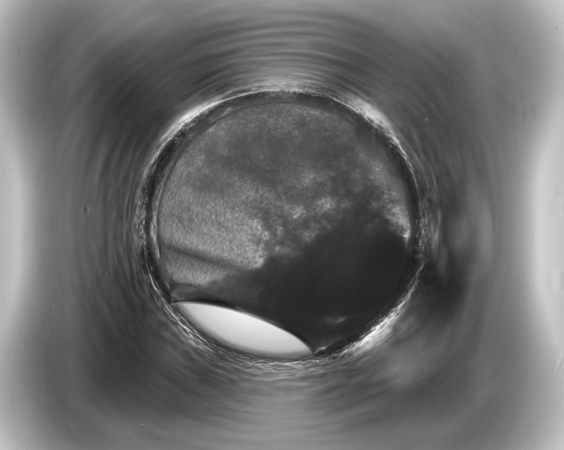 X0000084521019200703161543