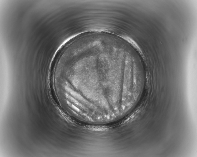 X0000084521020200703161543