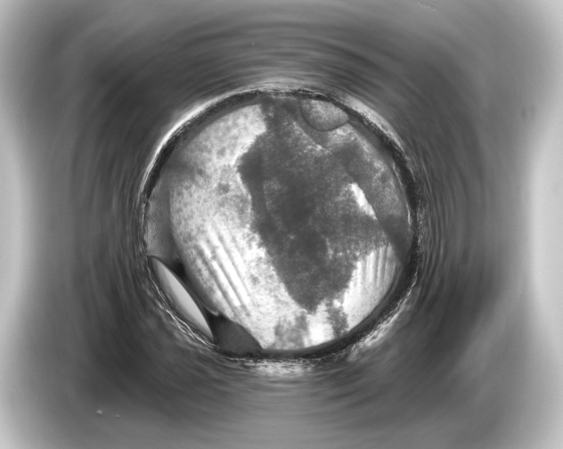 X0000084521021200703161543