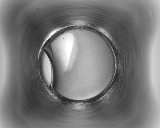 X0000084521022200703161543