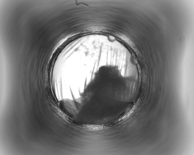 X0000084521023200703161543