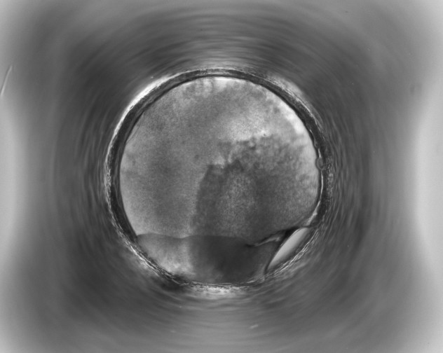 X0000084521024200703161543