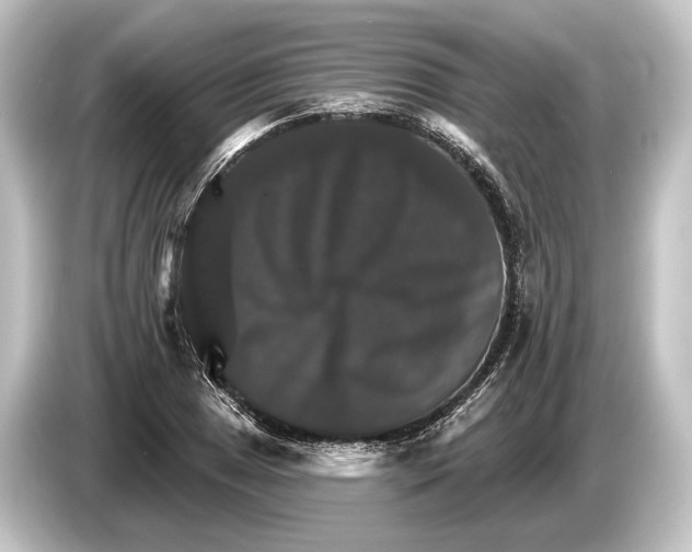 X0000084521025200703161543