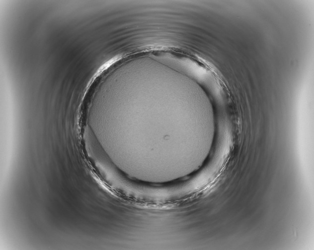 X0000084521026200703161544