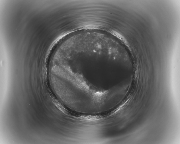 X0000084521027200703161544