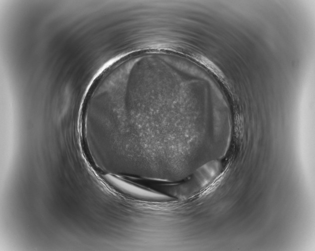 X0000084521028200703161544