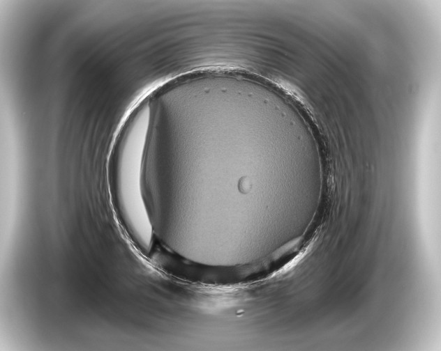 X0000084521030200703161544