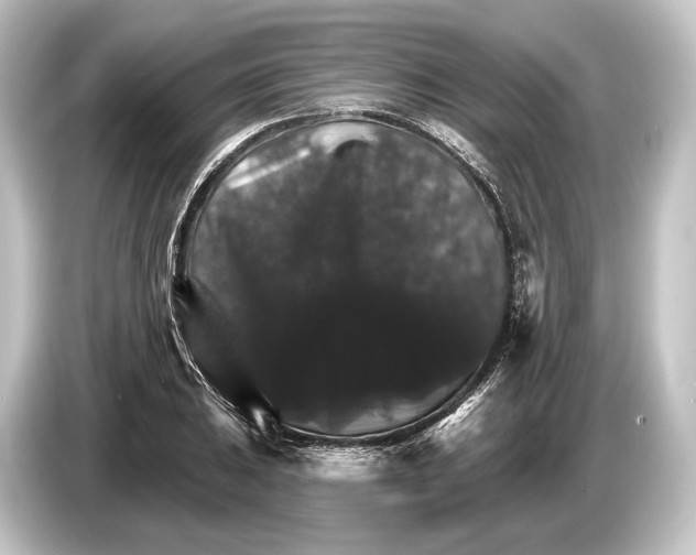 X0000084521031200703161544